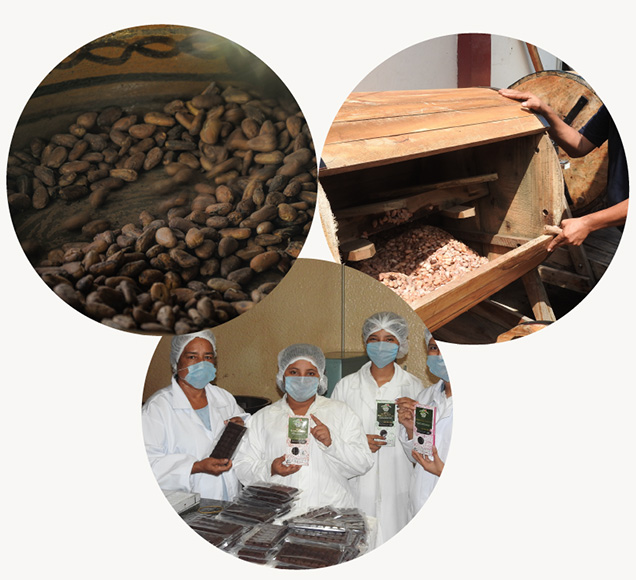 Cursos Comercializacion de Productos Orgánicos
