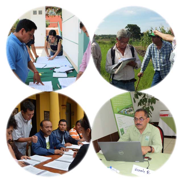 Cursos Producción Orgánica
