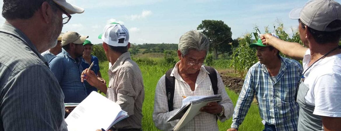 Cursos-agricultura-organica